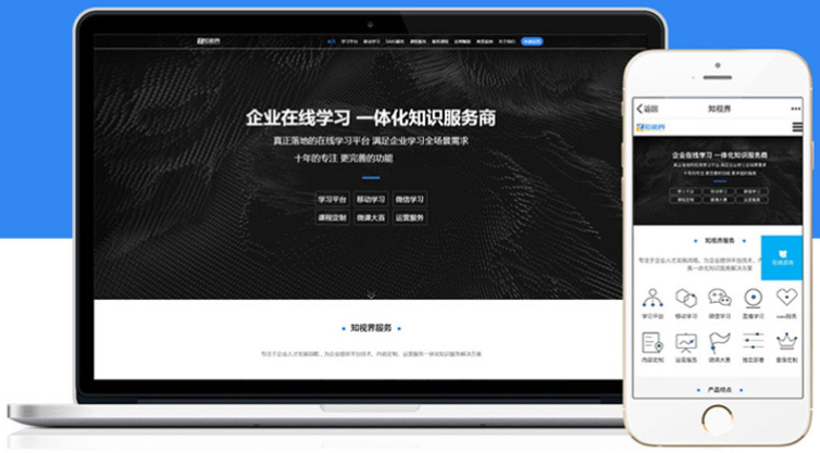 网站建设网站定制开发展示型网站
