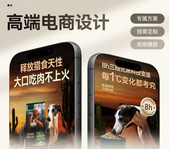 详情页设计 首页装修主图设计海报制作美工