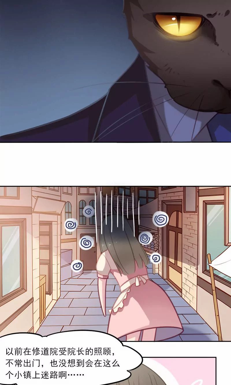 15.jpg